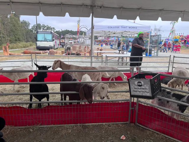 South Georgia State Fair