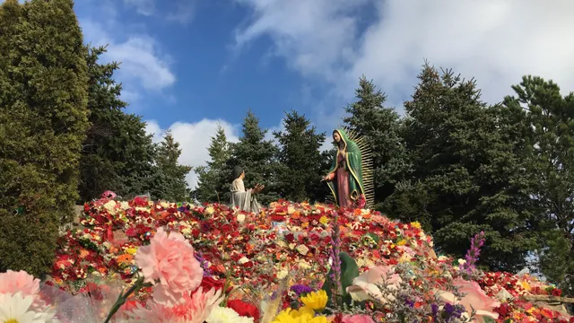 Shrine of Our Lady of Guadalupe