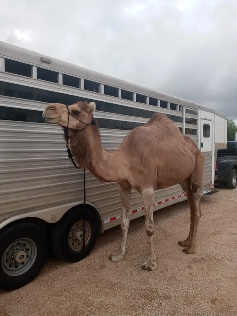Mitchell County Fairgrounds