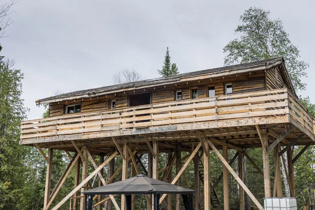 Entre Lemoine et l’Arbre