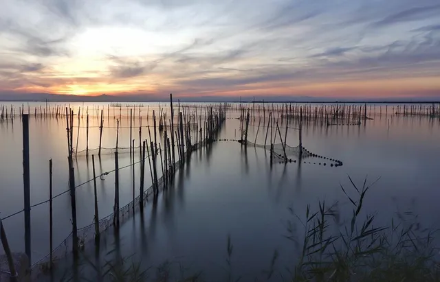 L'Albufera