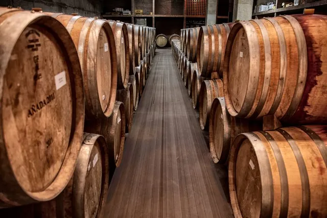 Bodegas Luna Beberide