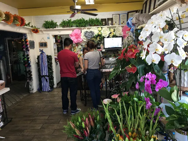 Highland Park Florist