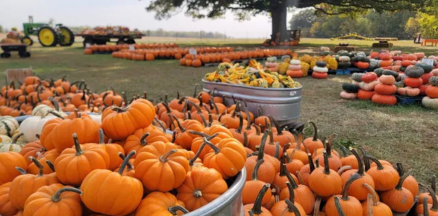 Larimer's Neck of the Woods