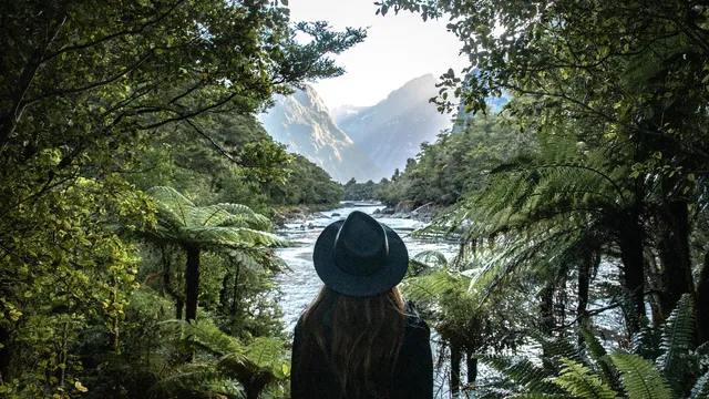 Fiordland Outdoors