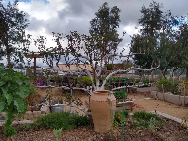 Orange County Great Park Farm + Food Lab