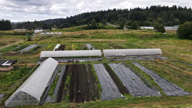 Sammamish Farms