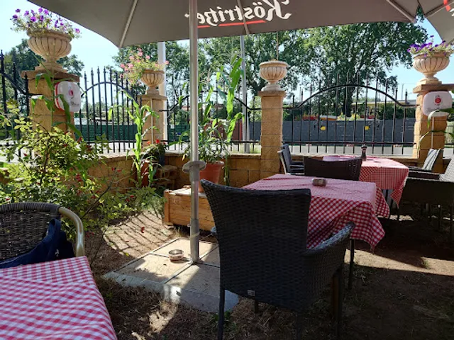 Il Gatto – Waldkater