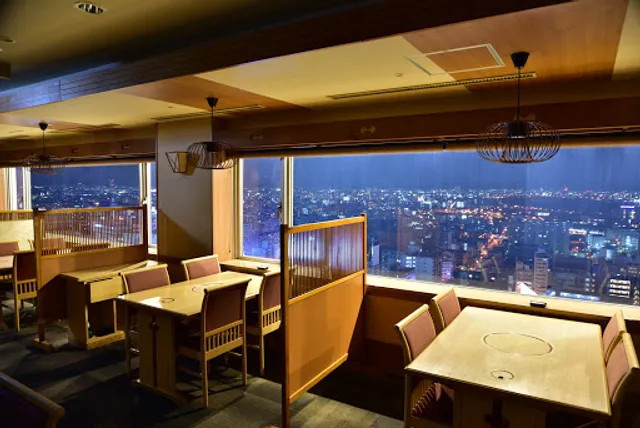 Shinosakawashintonhoterupurazaginza