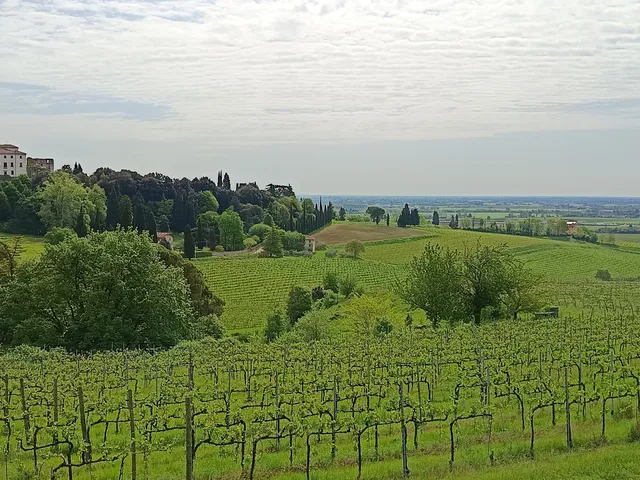 Agriturismo Melo In Fiore