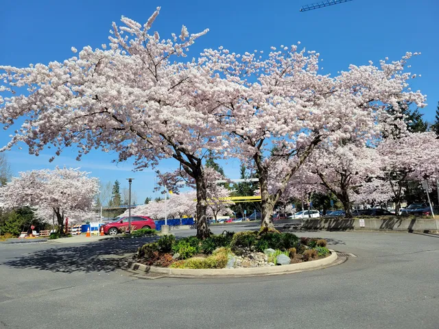 Microsoft Building 44