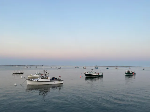 Wharfinger Chatham Fish Pier