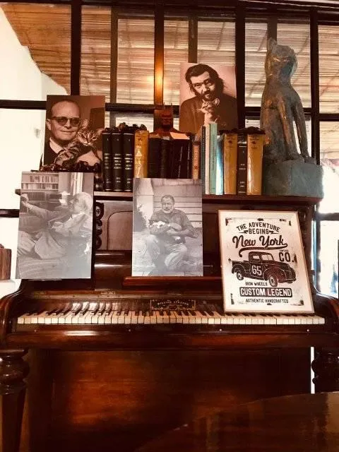 BAR CAFE LIBRO ARTE Y ANTICUARIO el gato bohemio