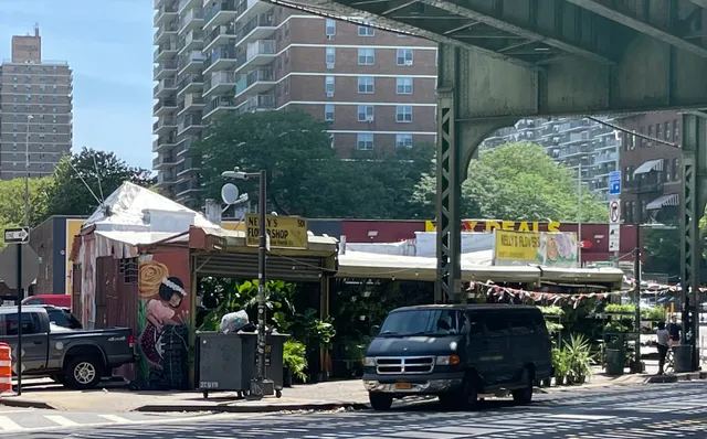 Nelly's Flowers And Plants