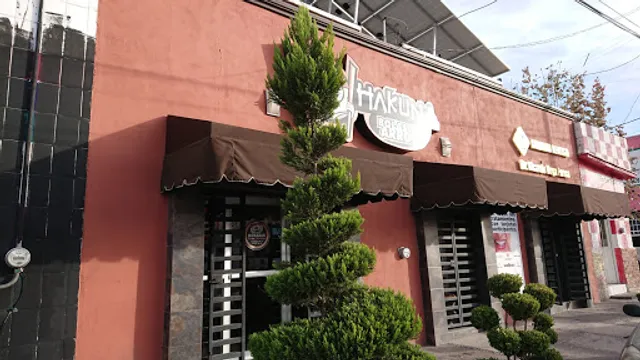 Hakuna Bolas de Arroz Zarco