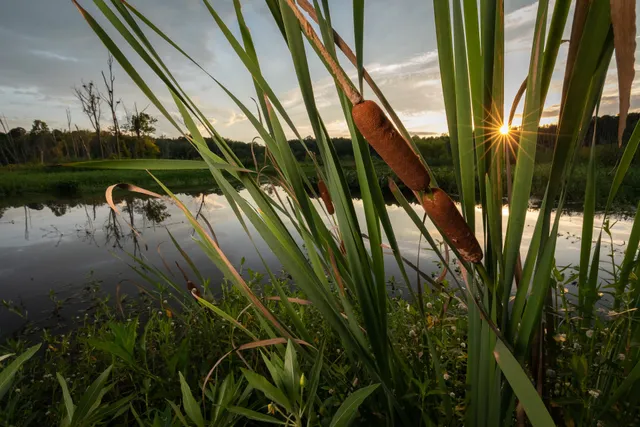 Conestee Nature Preserve