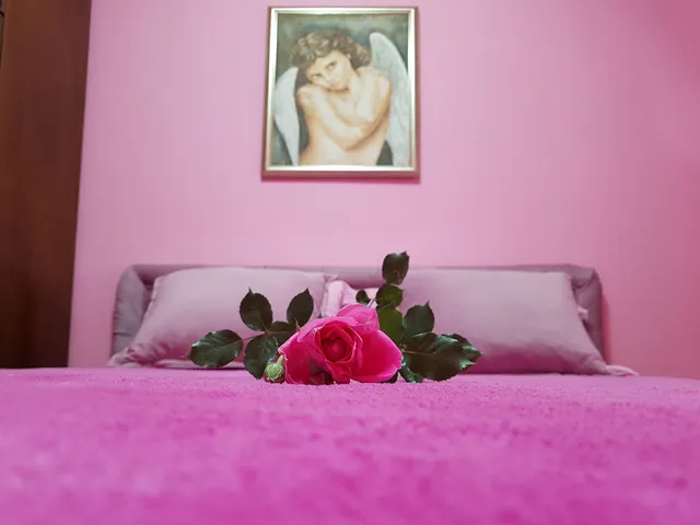 Luxury Apartments Belgrade