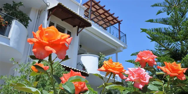 Efi & Zoi Apartments Sivota