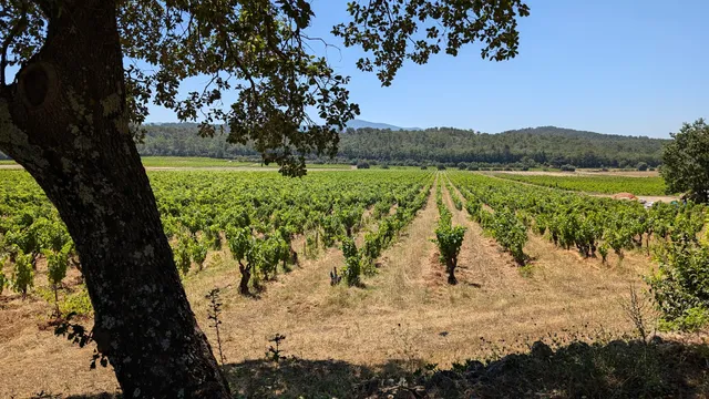 Château Gasqui - Vins et Vignes en Biodynamie