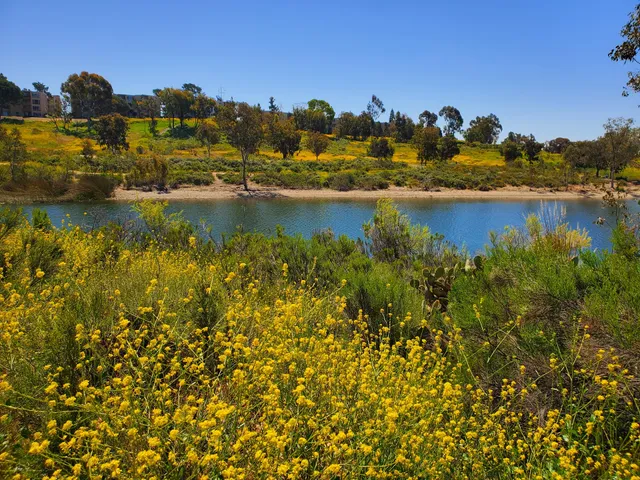 Lake Murray Trail Head