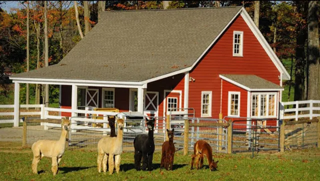 Bluebird Farm Alpacas