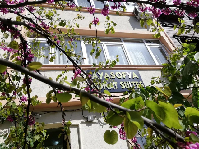 Ayasofya Donat Aparts & Suites