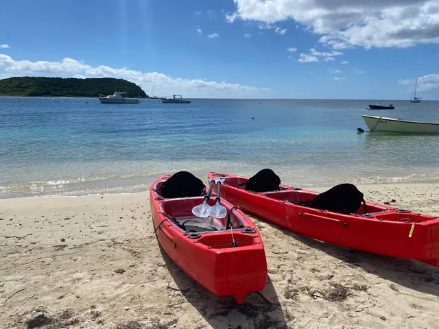 Mosquito Biobay Tours