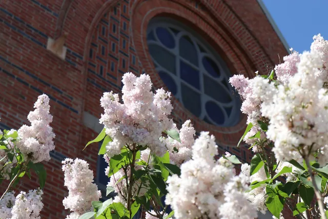 Stutsman County Courthouse State Historic Site