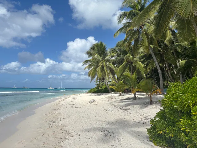 Isla Saona