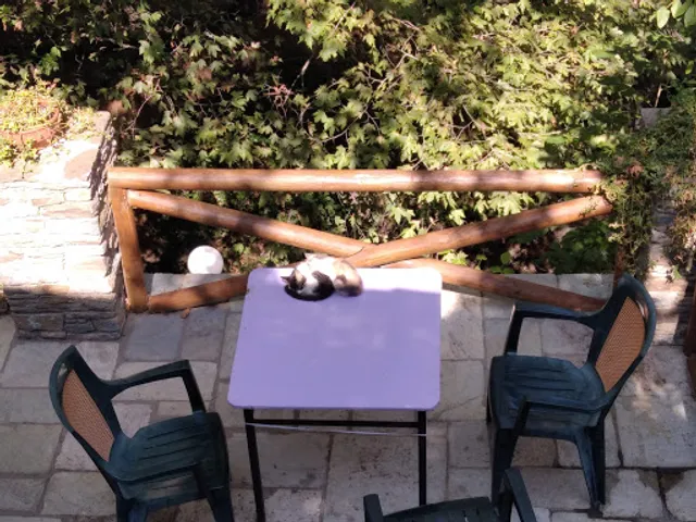 Πηγες Καρυδιές ~Piges Karydies