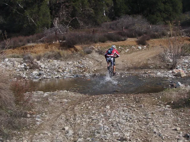 Adventure989 Mountain Bike Tours