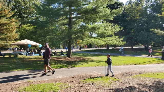 Bandshell Picnic Tables