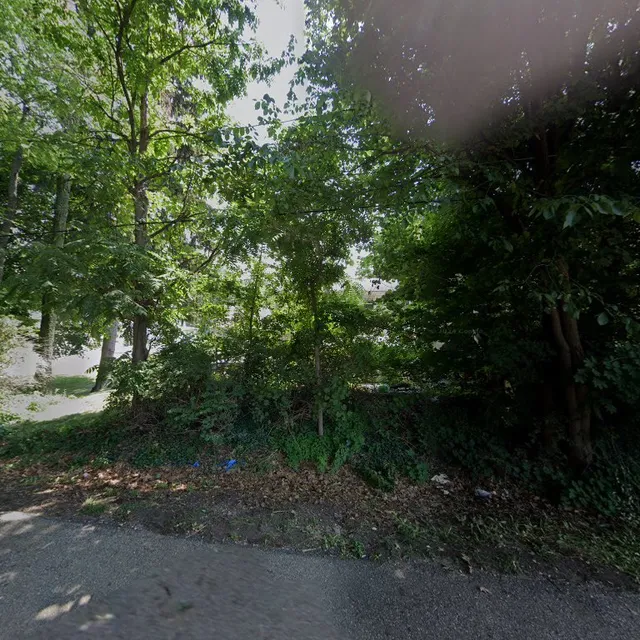 Liberty Tree Service