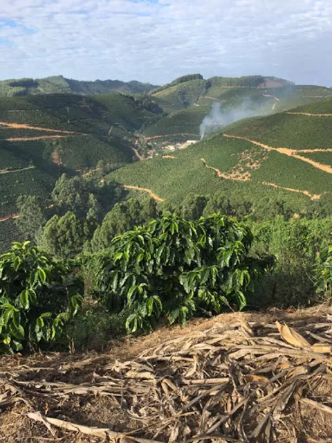 Lanchonete & Restaurante Garfo De Ouro