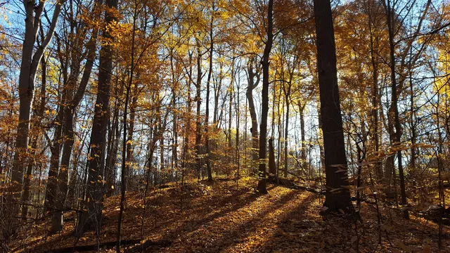 James H. Barrow Biological Field Station