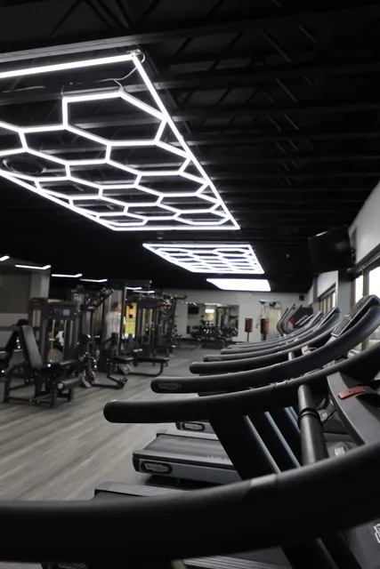 THESEVEN Personal training