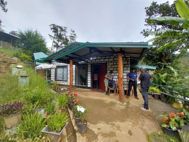 Ohiya Jungle Resort