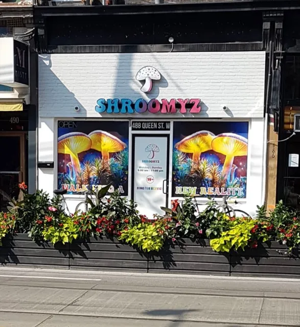 Shroomyz Magic Mushroom Dispensary