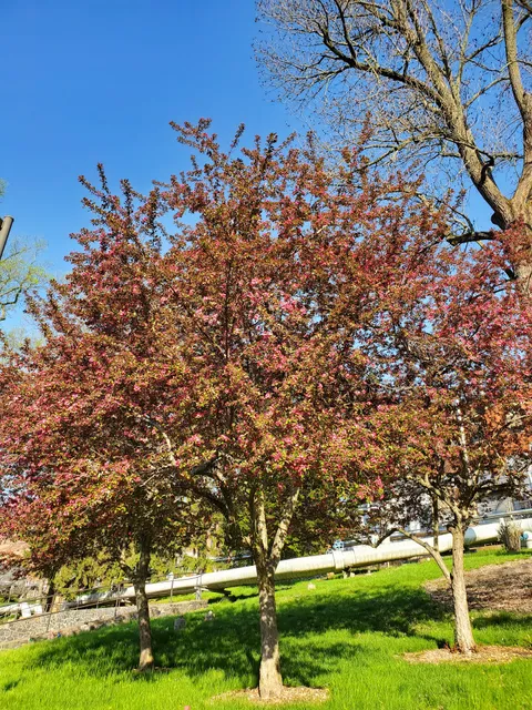 Experimental Station