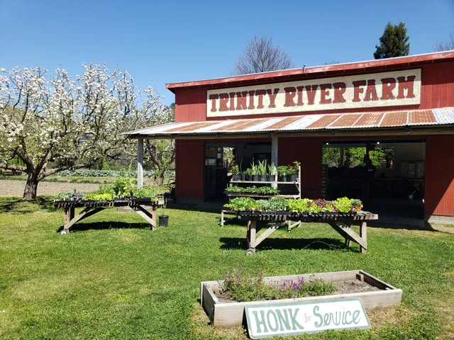 Trinity River Farm