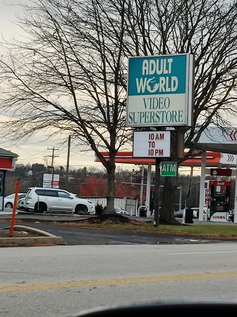 Adult World