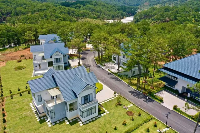 Thủy Hoàng Nguyên