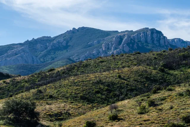 Boney Mountains State Wilderness Area