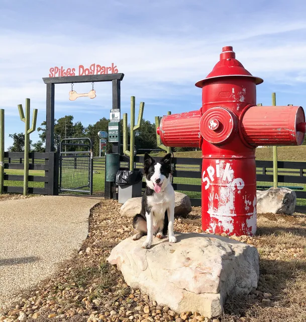 Spike's Dog Park
