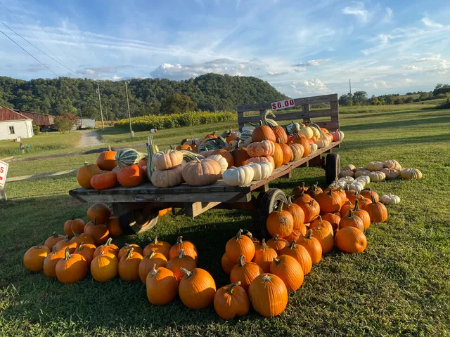 Myers Pumpkin Patch & Greenhouses