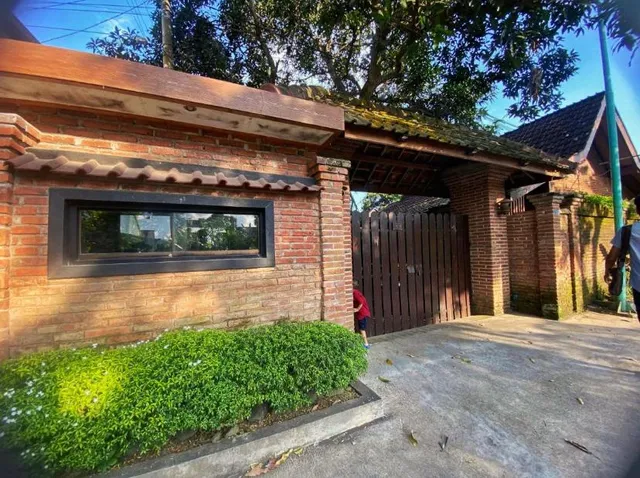 Umyah Tikel the Woodskin