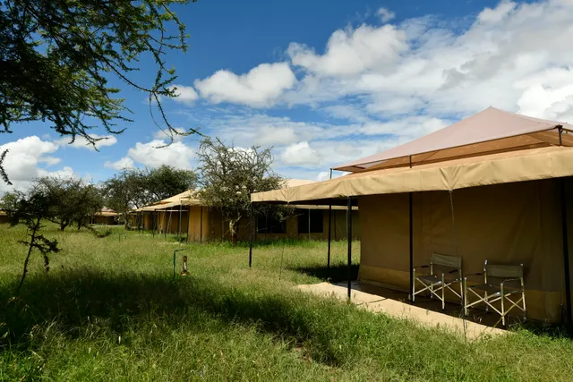 Serengeti Wild Camp