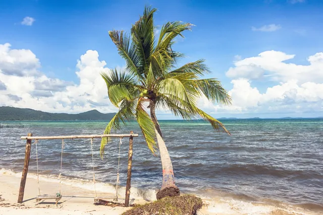 Mussel Beach grooves