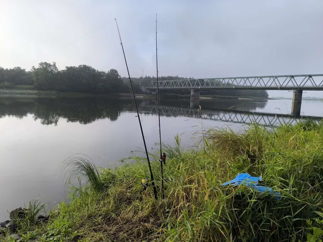 Ferienwohnung Oderblick