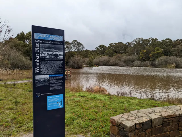 Wombat Flat Mineral Spring
